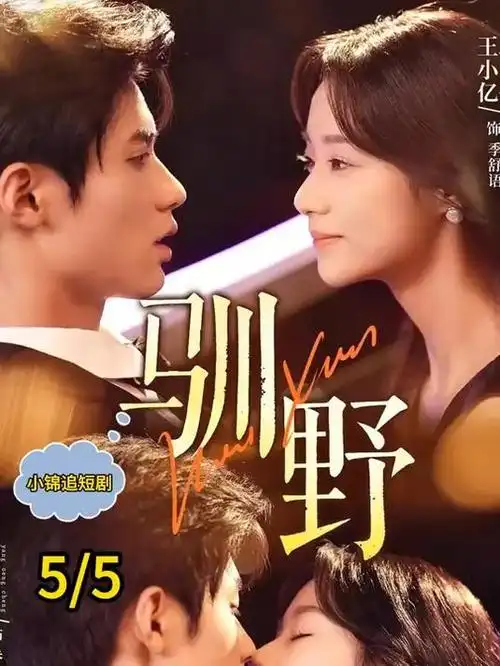 赘婿2 古装喜剧 2026 更新至24集